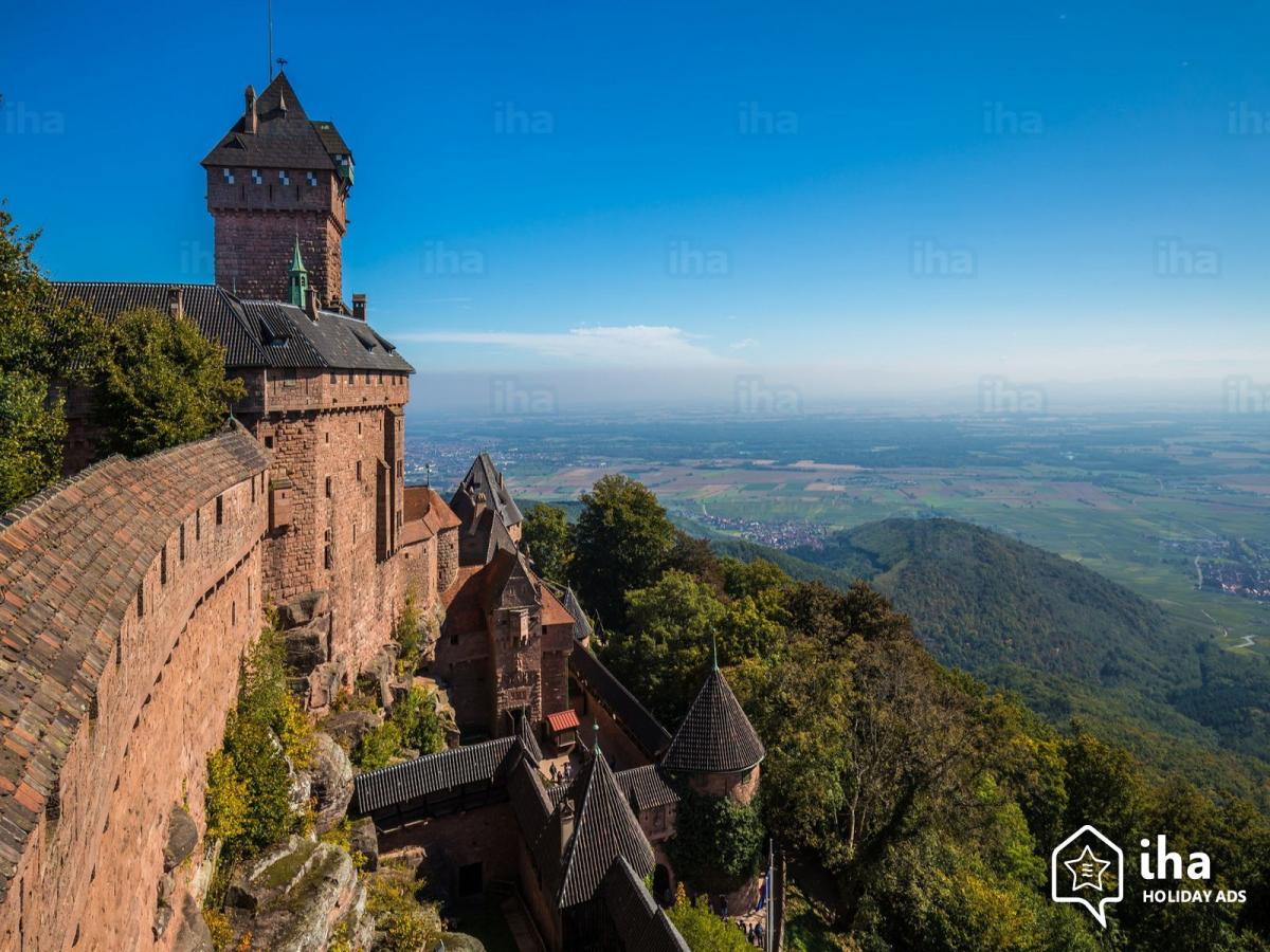 Neubois-Chateau-du-haut-koenigsbourg-au-sud-de-neubois