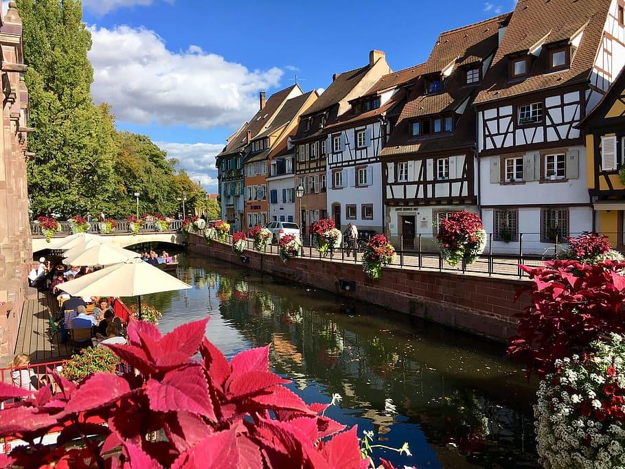 colmar-alsace-france-fachwerkhaus